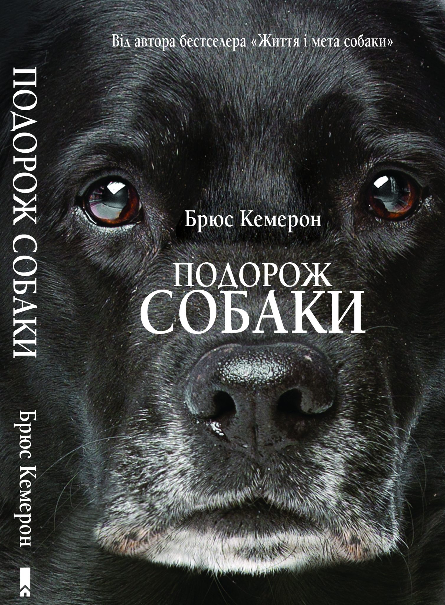 Брюс Кэмерон путешествие хорошего пса. Книги про собак. Романы о собаках.